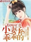 迫嫁豪门:小妻子,乖乖的