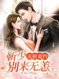 天价妻约:靳少,别来无恙