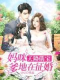 天降萌宝:妈咪,爹地在征婚