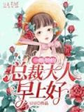 一纸契约:总裁大人早上好